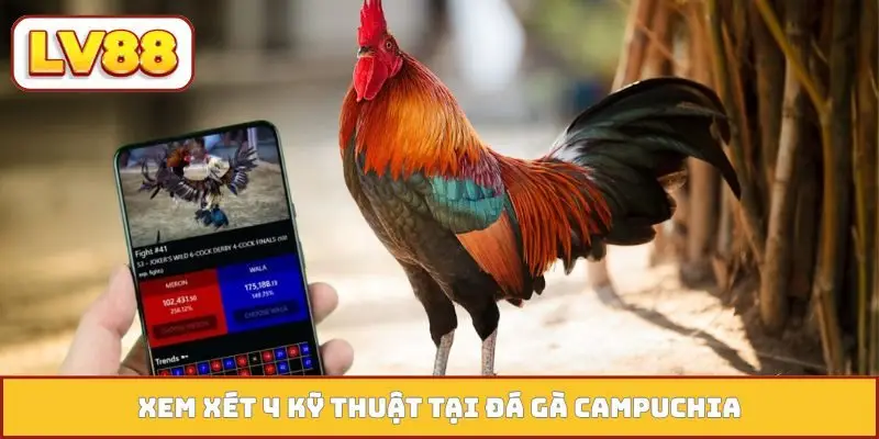 Xem xét 4 kỹ thuật tại đá gà Campuchia